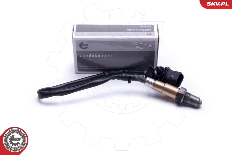 Oxygen Sensor